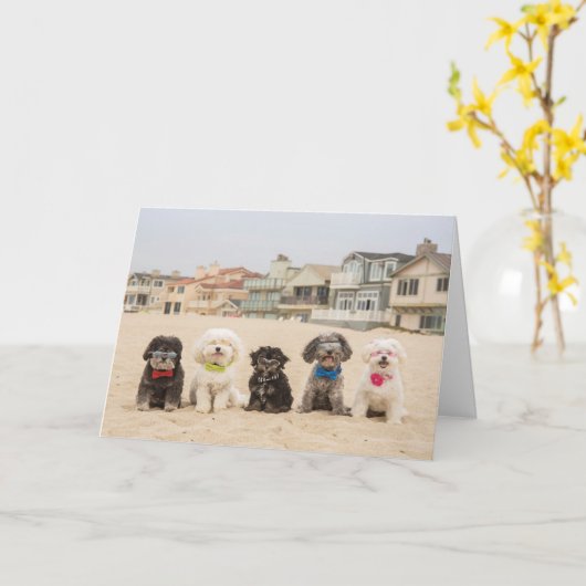 Vrede op het strand kaart (Gele Bloem)