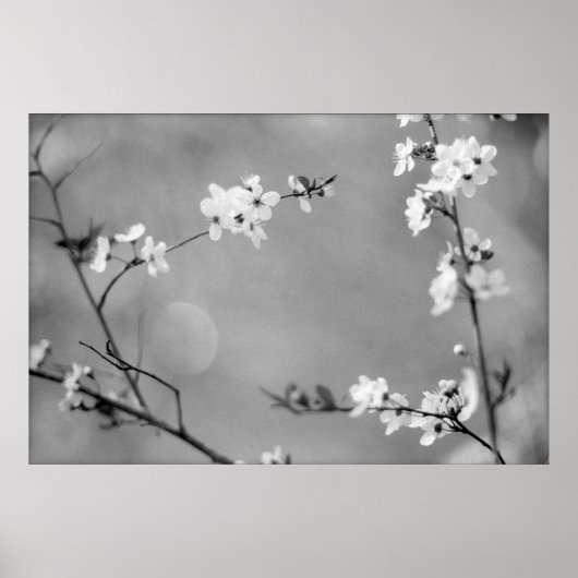 VREDE POSTER (Voorkant)