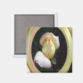 Vrede Roos liefde.... Magneet (Voorkant / Achterkant)