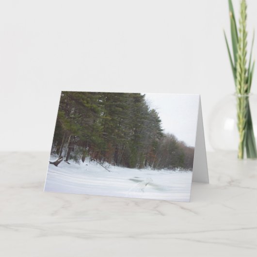 Vrede ter wereld feestdagen kaart (Voorkant)