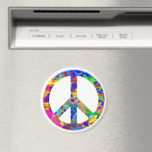 Vrede uit magneet (Insitu (Vaatwasser))