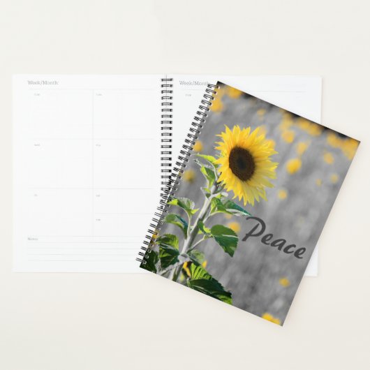 "Vrede" uitdrukking, Gebied van Zonnebloemen, Zwar Planner (Display)