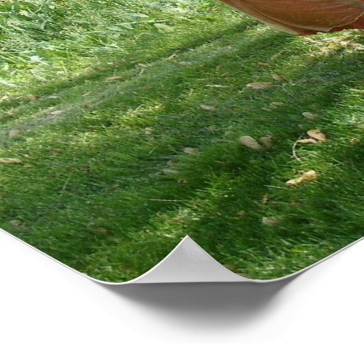 Vrede van het godin-kleine Poster (Hoek)