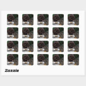 Vrede! Vierkante Sticker (Vel)