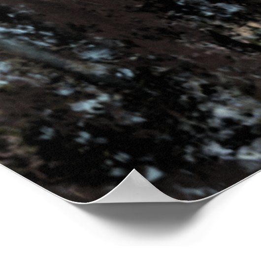 Vrede - Witte duif - Vrijheid - Abstract schildere Poster (Hoek)