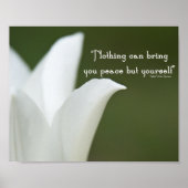 Vredes Tulp Poster (Voorkant)