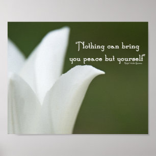 Vredes Tulp Poster