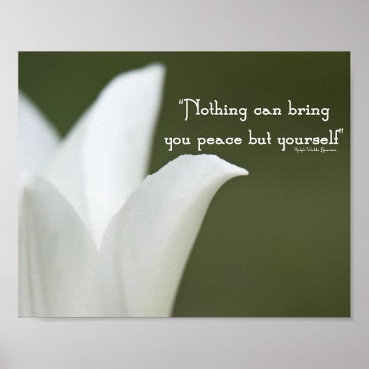 Vredes Tulp Poster (Voorkant)