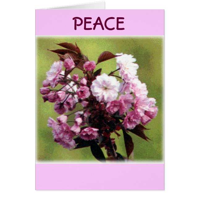 Vredesbloemen (Voorkant)