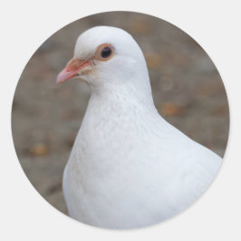 Vredesdove op de keel ronde sticker