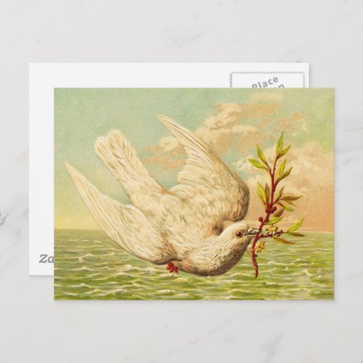  vredesduif briefkaart (Voorkant / Achterkant)