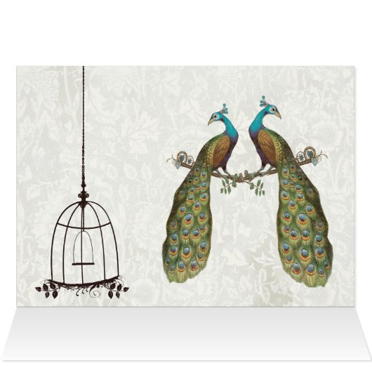 vredeshandhaken - Vogelkooien - uitvindingen (Binnen Horizontaal (Boven))