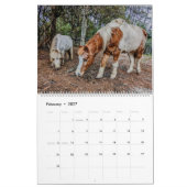 VREDESKALENDER 2024 BOERDERIJ KALENDER (Feb 2027)