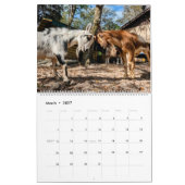 VREDESKALENDER 2024 BOERDERIJ KALENDER (Mar 2027)