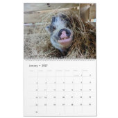 VREDESKALENDER 2024 BOERDERIJ KALENDER (Jan 2027)