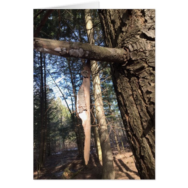 Vredeskruis (Voorkant)