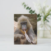 vredesleiding briefkaart (Staand voorkant)