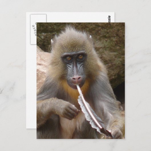 vredesleiding briefkaart (Voorkant / Achterkant)