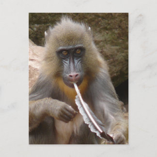 vredesleiding briefkaart