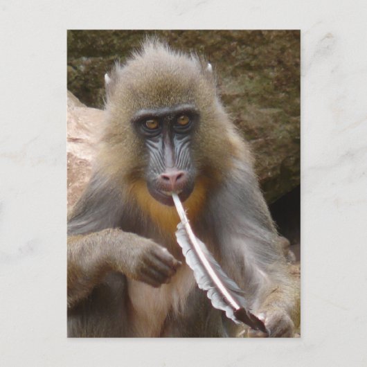 vredesleiding briefkaart (Voorkant)