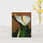 Vredeslelie Bloem Notitiekaart (Gele Bloem)