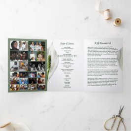 Vredeslelie Foto Collage Drie-voudig Funeral Templ Drieluik Programma