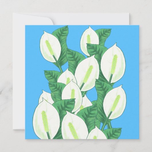 Vredeslelie Illustratie Wenskaart (Voorkant)