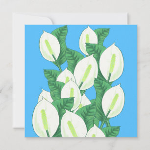 Vredeslelie Illustratie Wenskaart