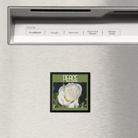 vredesmagneet magneet (Insitu (Vaatwasser))