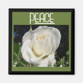 vredesmagneet magneet (Voorkant)