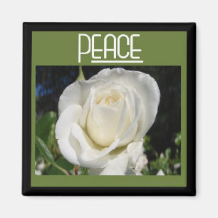 vredesmagneet magneet