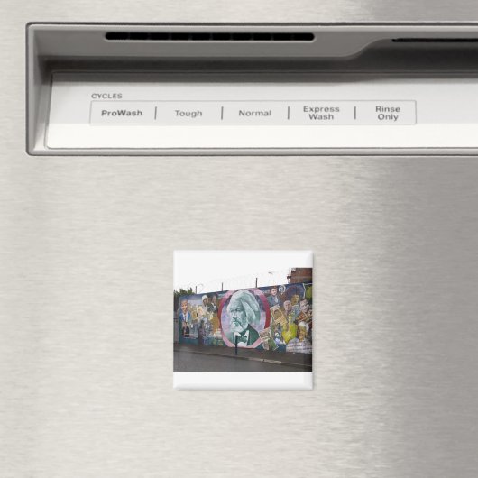 VREDESMUUR VAN BELFAST MAGNEET (Insitu (Vaatwasser))