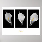 VredesPoster Poster (Voorkant)