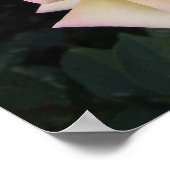 VredesRoos Poster (Hoek)