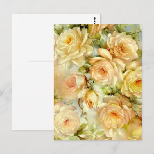 VredesRozen Briefkaart (Voorkant / Achterkant)