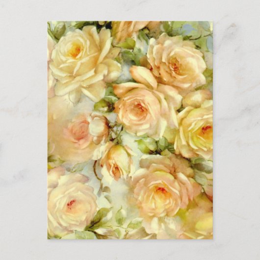 VredesRozen Briefkaart (Voorkant)