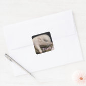 Vredessticker met stijlvol design vierkante sticker (Envelop)