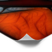 Vredestrein Poster (Hoek)