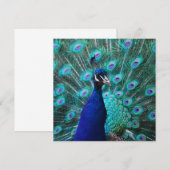  vredesuitnodigingen kaart (Voorkant / Achterkant)