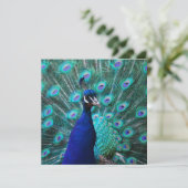  vredesuitnodigingen kaart (Staand voorkant)