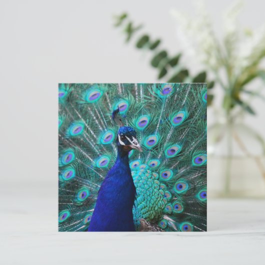  vredesuitnodigingen kaart (Staand voorkant)