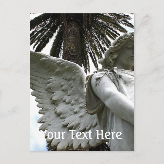 Vredesval Briefkaart (Voorkant)