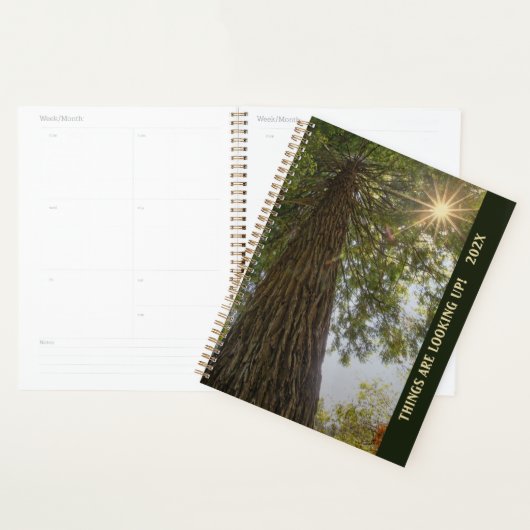 Vredig bos met gouden licht planner (Display)