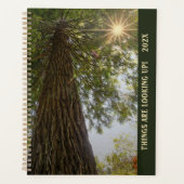Vredig bos met gouden licht planner (Voorkant)