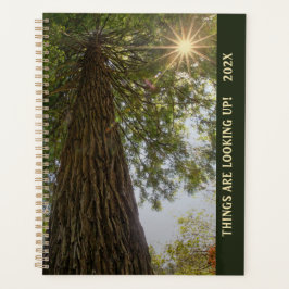 Vredig bos met gouden licht planner