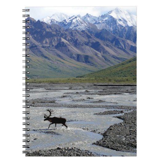 VREDIG LANDSCHAP MET RENDIEREN NOTITIEBOEK (Voorkant)