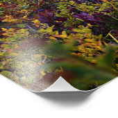 Vredige Lake Vibrant Herfst Kleurenlandschap Foto Afdruk (Hoek)