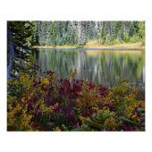 Vredige Lake Vibrant Herfst Kleurenlandschap Perfect Poster (Voorkant)