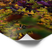 Vredige Lake Vibrant Herfst Kleurenlandschap Perfect Poster (Hoek)