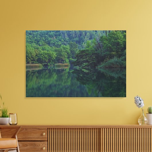 Vredige Ochtend Rivier met Reflectie van Bomen Canvas Afdruk (Insitu (Woonkamer))